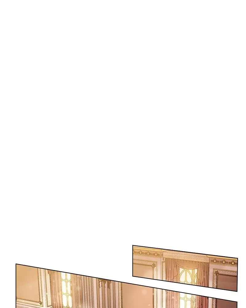 26477068 800 1000 16172